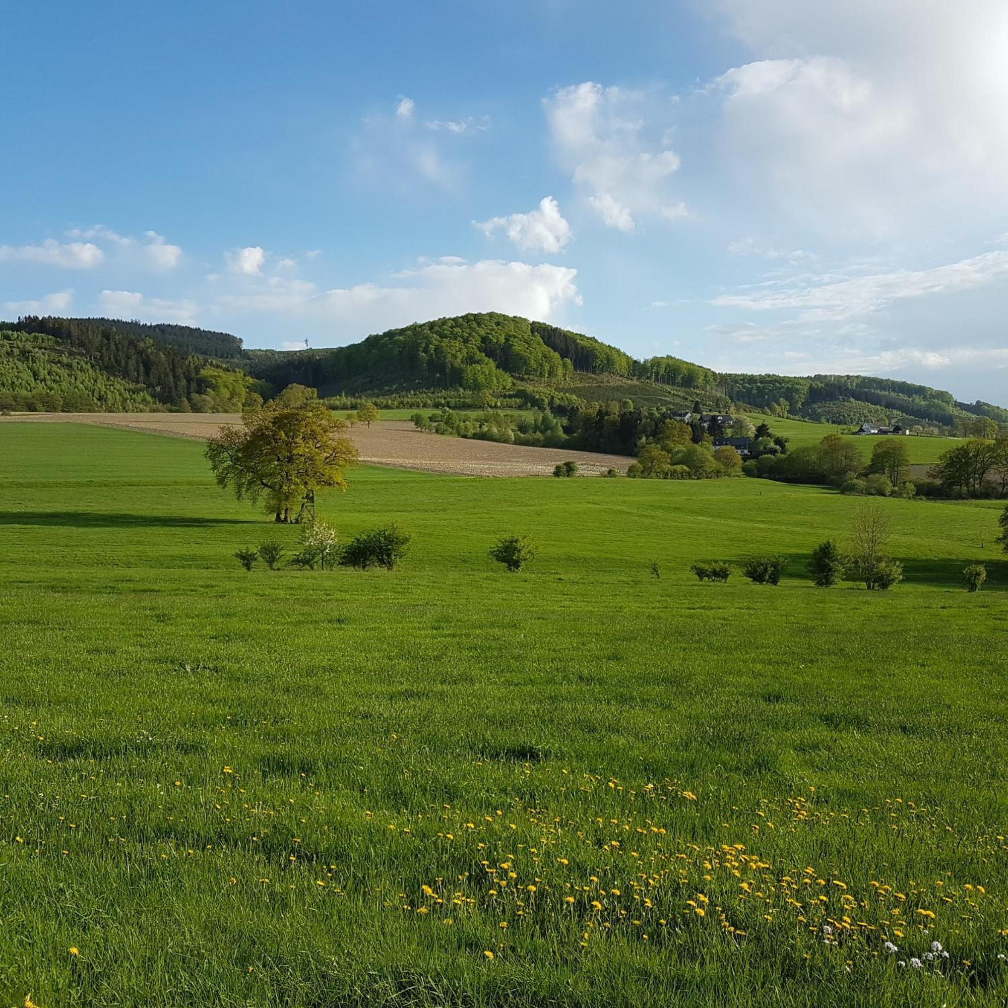 Freundliche Unterkunft Sauerland Мешеде Екстер'єр фото