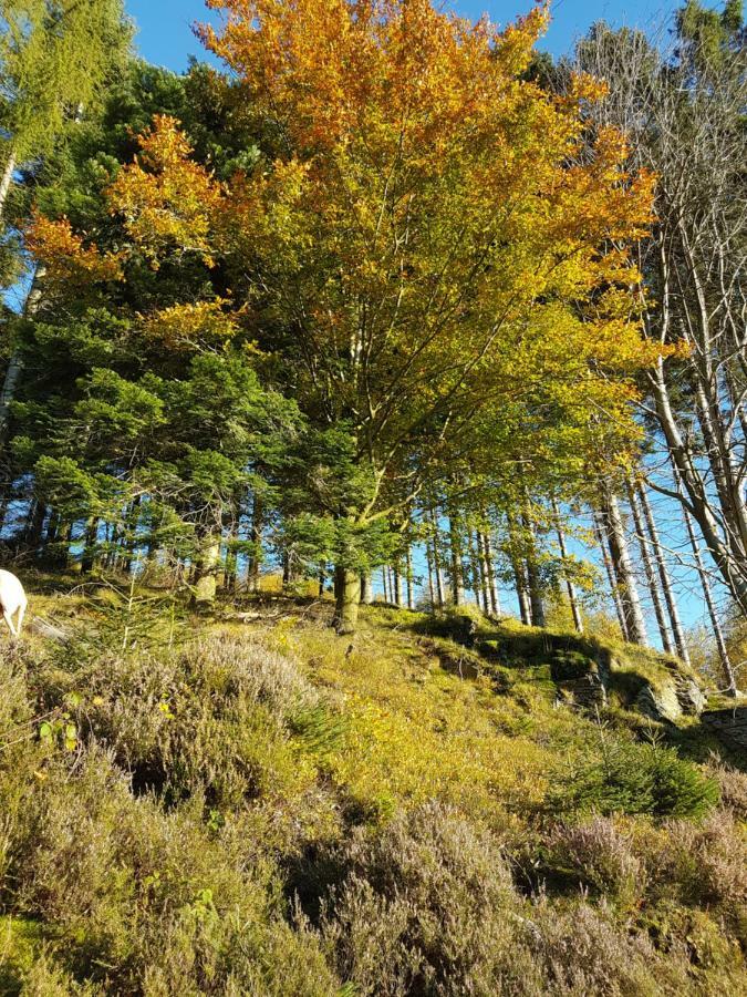 Freundliche Unterkunft Sauerland Мешеде Екстер'єр фото